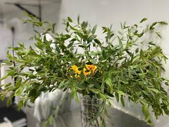 -LINLEE林里·手打柠檬茶(惠城仲恺天益城店)