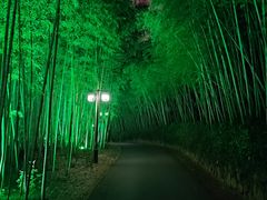 -苏州环秀晓筑养生度假村