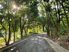 -广西壮族自治区药用植物园