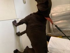 -百信宠物医院(东升街店)