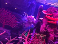 -沈阳海洋探索中心