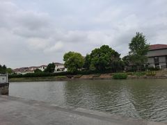 -嘉定紫藤园
