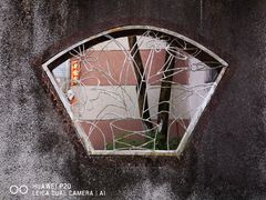 -芦苞胥江祖庙