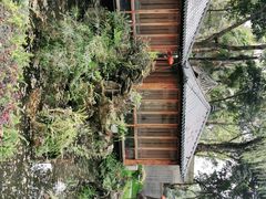 -大妙火锅·非物质文化遗产(东湖公园店)