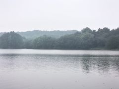 -茅家埠