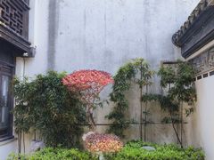 -檀园