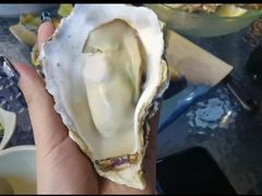 高压锅蒸蚝-千岛蚝高压锅生蚝·人参火锅(白云万达店)