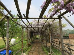 景点-苏州太湖牛仔风情度假村