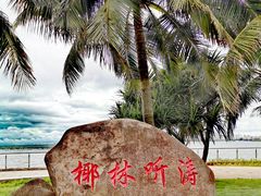-万绿园