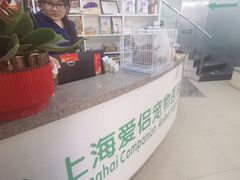 -爱侣宠医·鹦鹉专科·小型哺乳类·异宠专科(灵石路店)