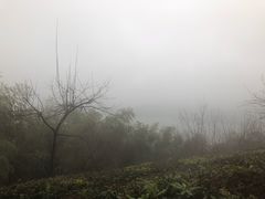 -天目湖涵田半山温泉