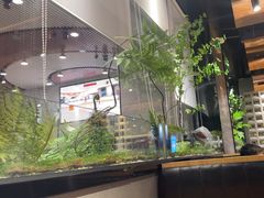 -吉庆莲年有鱼炭烤鱼(苏宁广场店)
