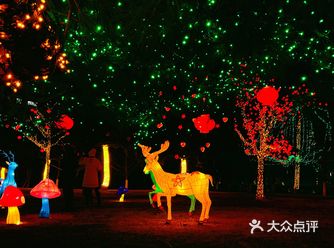 今年过年的乐天体育公园 灯光效果做的确实赞