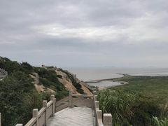 -洋山深水港
