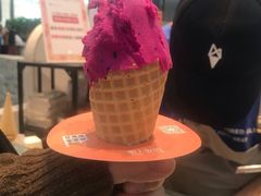 -野人先生现做冰淇淋(西安赛格店)