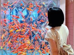 -永利澳门酒店