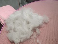 -FAELING PETS美天灵宠物(富力广场店)