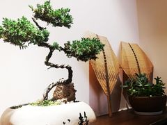 -冰拾叁(新都店)
