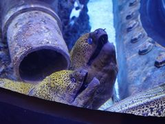 -成都浩海立方海洋公园
