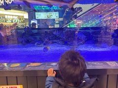 -凯德广场(学府店)