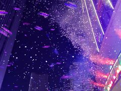 -交通银行前滩31演艺中心