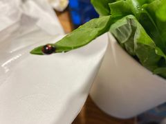 -老北京热气涮羊肉(正荣时代广场店)