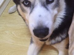 -富瑶大酒店(强工二街店)