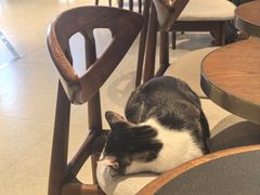 -Peet's Coffee皮爷咖啡(豫园店)