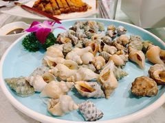 白灼海螺-华兴大酒楼(亿宝大厦店)
