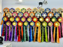 -青奢宠物·青奢猫舍