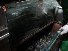 -大理.老字号渝记酸萝卜乌鱼(古城总店)