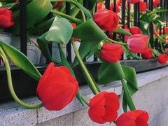 -EPOQUE·一刻花店(兴业太古汇店)