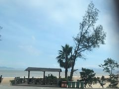 -普陀山风景名胜区-千步大沙