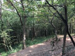 -终南山古楼观历史文化景区