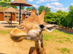 -济南野生动物世界