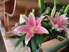 -南堂馆·新川菜(春熙路店)