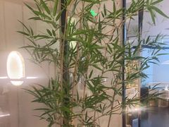 -绿茶餐厅(龙湖杭州金沙天街店)