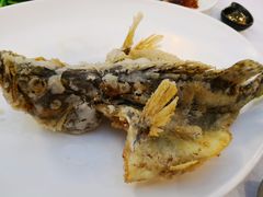 -岭南海晏楼(滨江东总店)