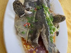 -老字号蛇口德记烧腊饭店·海鲜加工