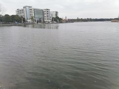 -美兰湖景区