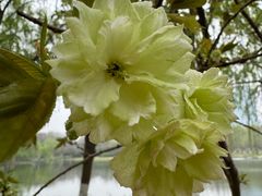 -白塘生态植物园