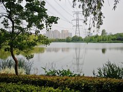 -昆山城市生态森林公园