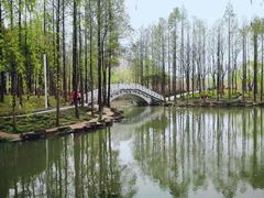 -大宁公园