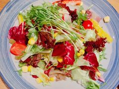 樱町三味沙拉-樱町三味日本料理(城乡世纪广场店)