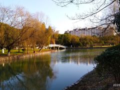 -中央公园(苏州工业园区)