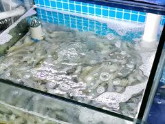 -面道赞宁海海鲜面(迎凤街店)