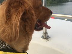 -仙海旅游度假区