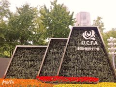 -重庆市江北嘴中央商务区中央公园