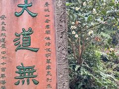 -青城山