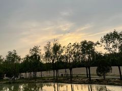 -东郊湿地公园